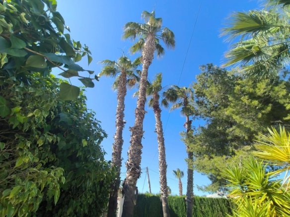 5 Bedroom 2 Bathroom Villa in Torrevieja - Caza De Casa