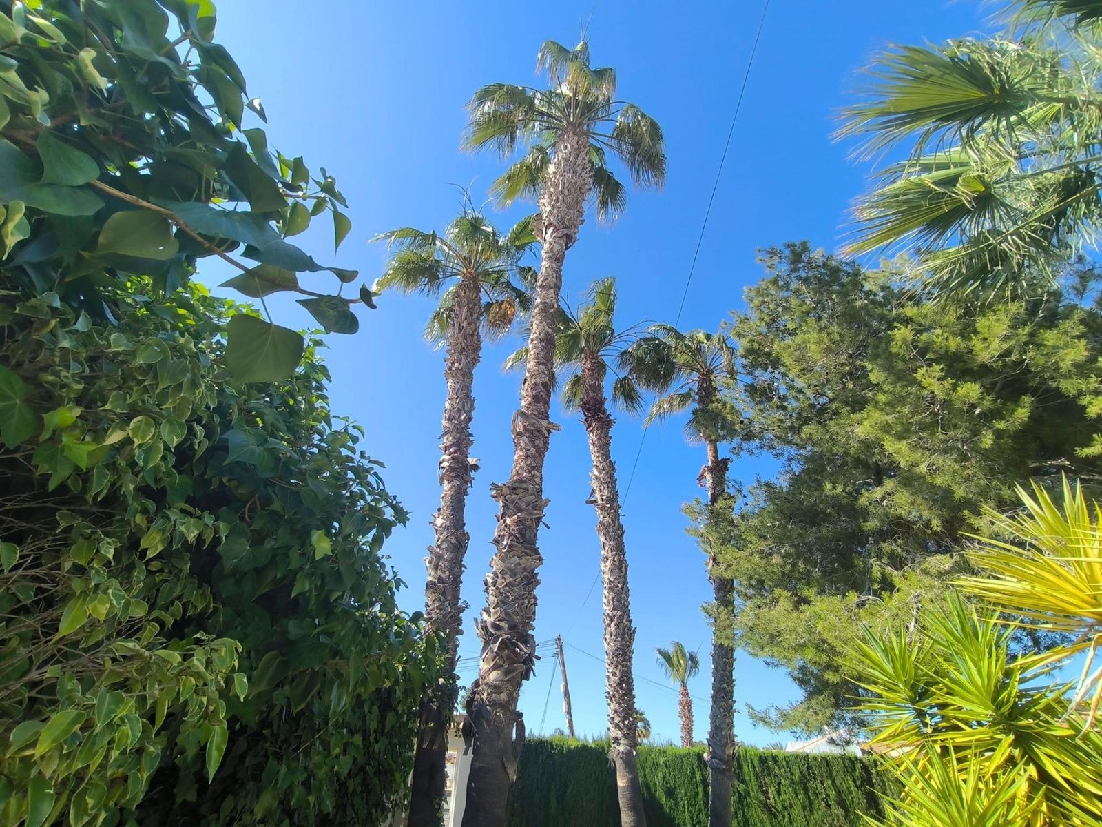 3-7 5 Bedroom 2 Bathroom Villa in Torrevieja - Caza De Casa
