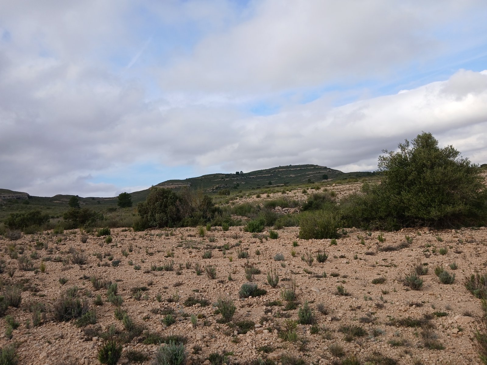 600 m² Land in Yecla - Caza De Casa
