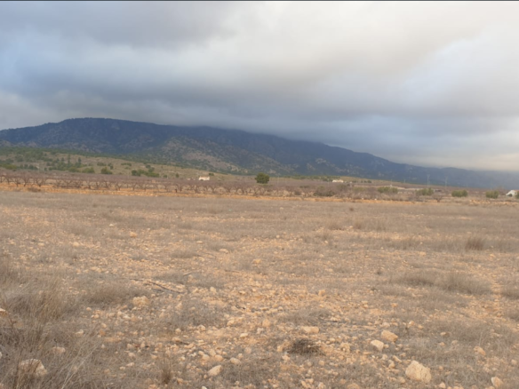 Land in Pinoso - Caza De Casa
