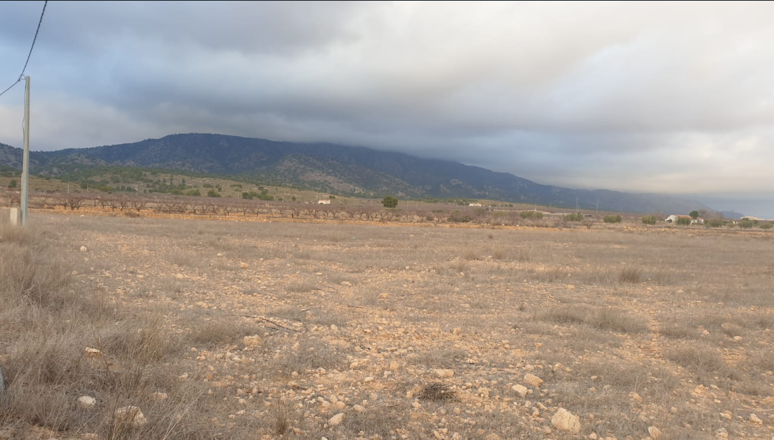 Land in Pinoso - Caza De Casa