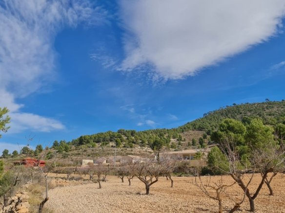 Land in Pinoso - Caza De Casa
