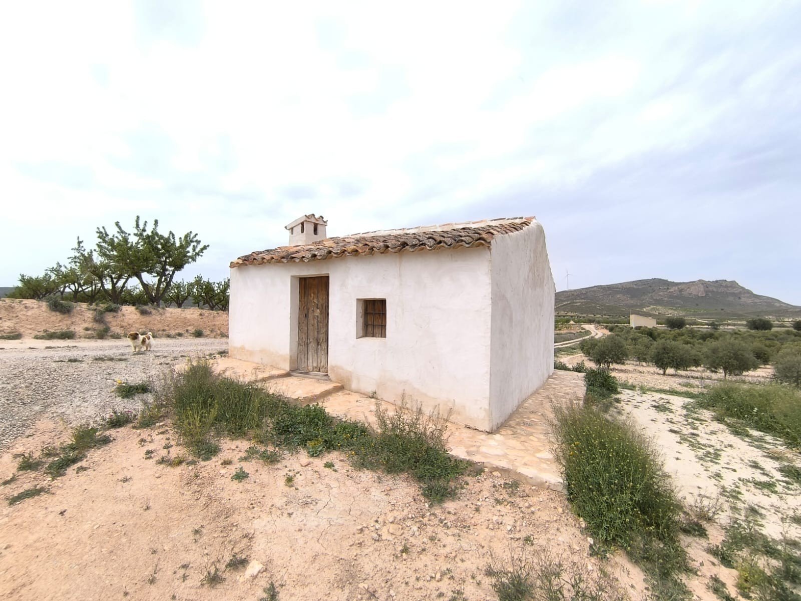 31e18493d5506b3e 2 Bedroom Land in Jumilla - Caza De Casa