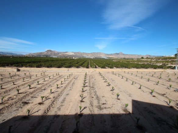 6 Bedroom 3 Bathroom Finca in Murcia - Caza De Casa