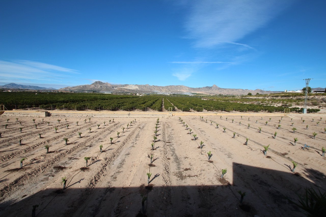 6 Bedroom 3 Bathroom Finca in Murcia - Caza De Casa