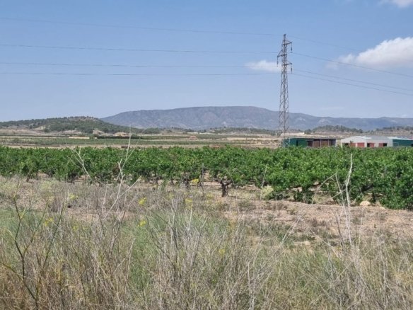 Land in Pinoso - Caza De Casa