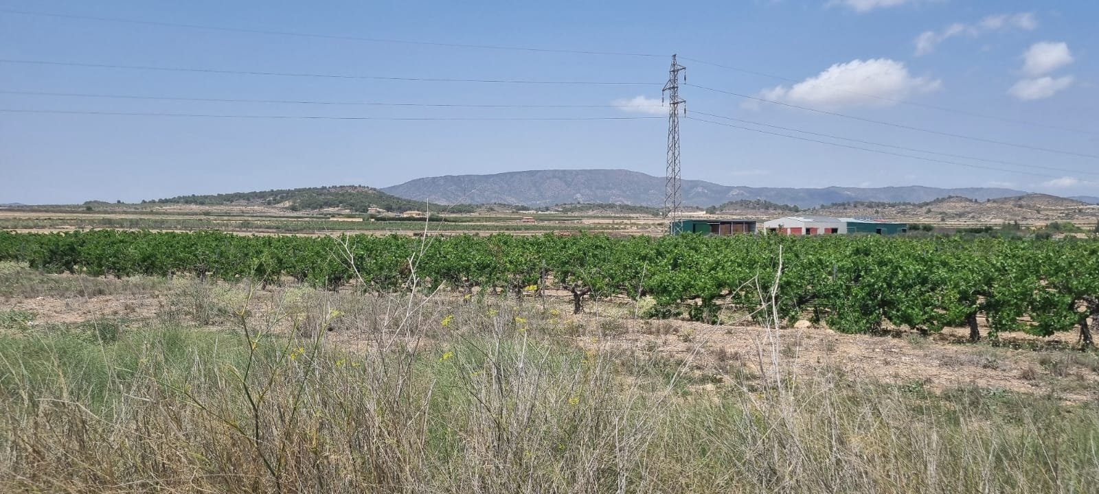 3320b349bfcf8503 Land in Pinoso - Caza De Casa