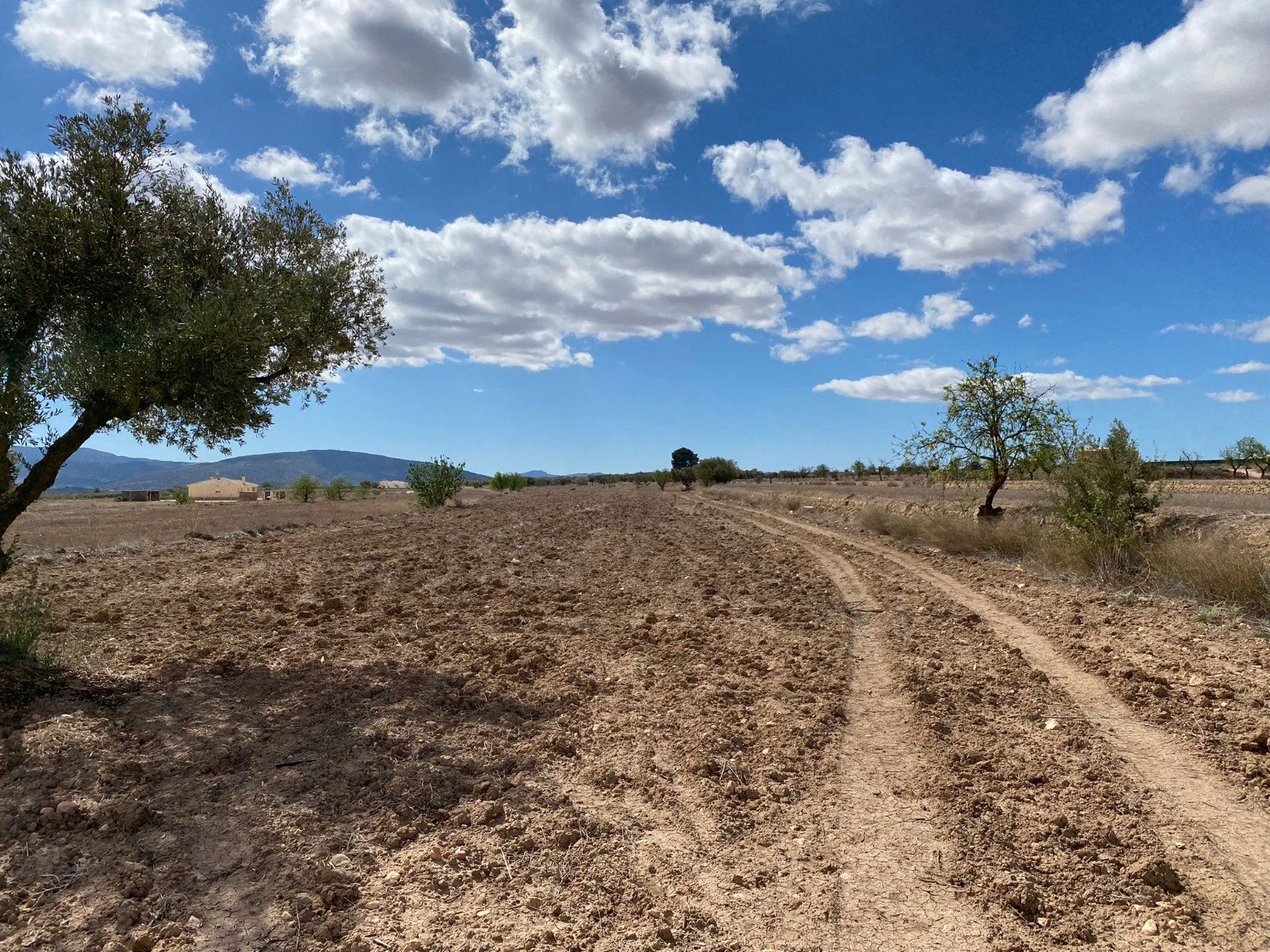 12,797 m² Land in Pinoso - Caza De Casa