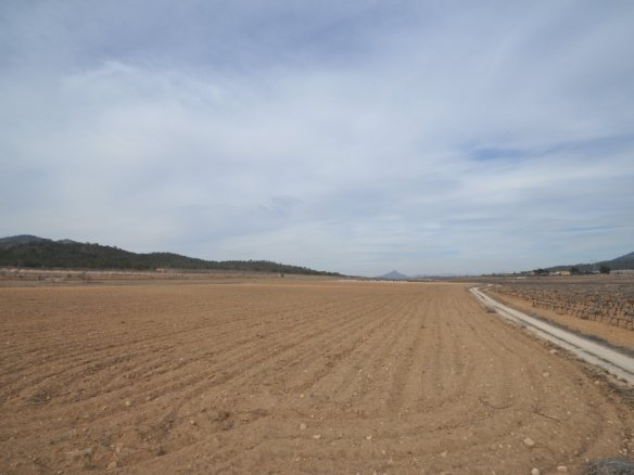 33,880 m² Land in Monóvar/Monóver - Caza De Casa