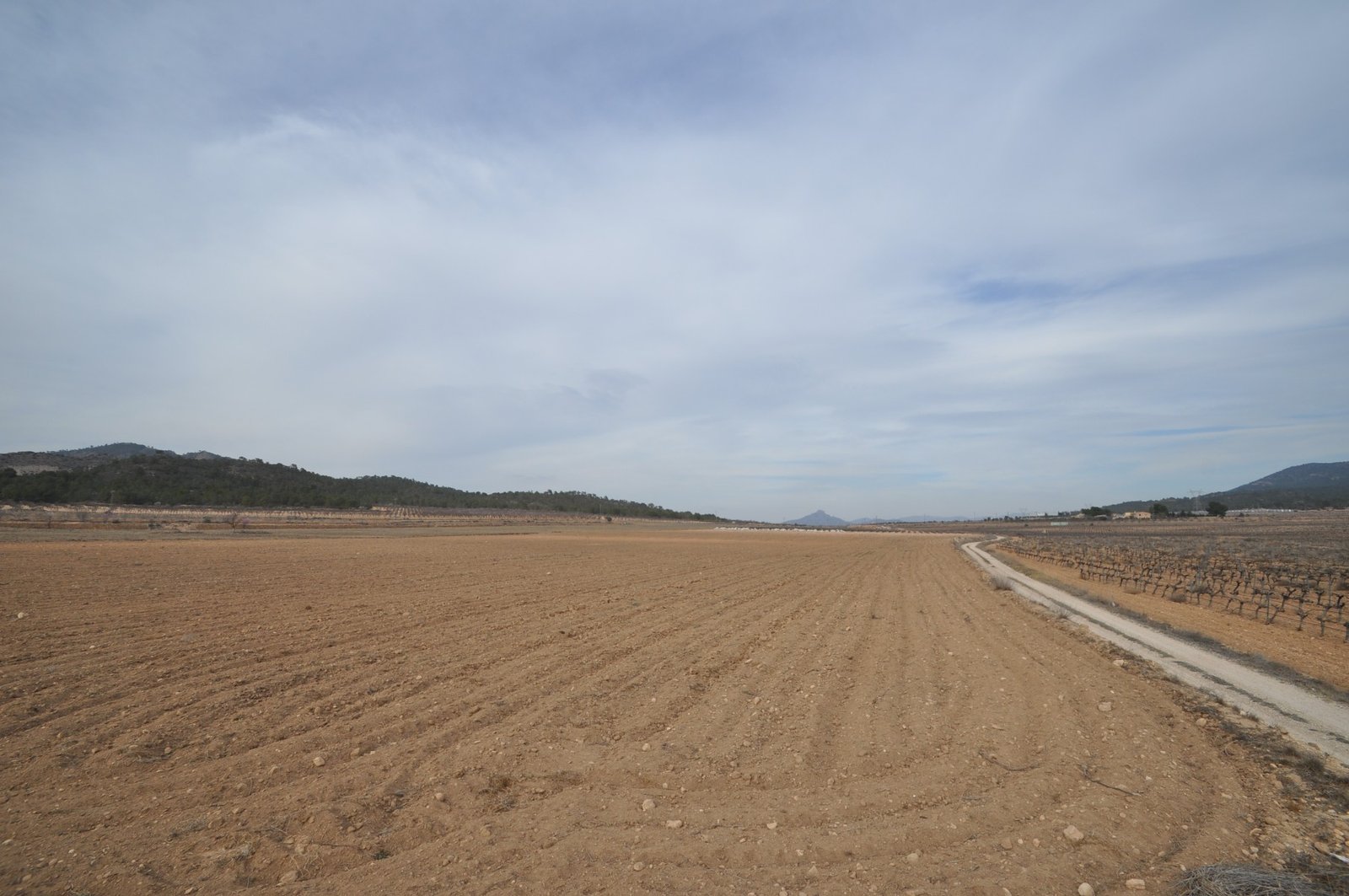 33,880 m² Land in Monóvar/Monóver - Caza De Casa