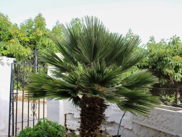 4 Bedroom 2 Bathroom Villa in Nerja - Caza De Casa