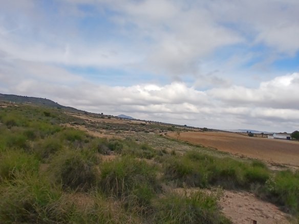 600 m² Land in Yecla - Caza De Casa