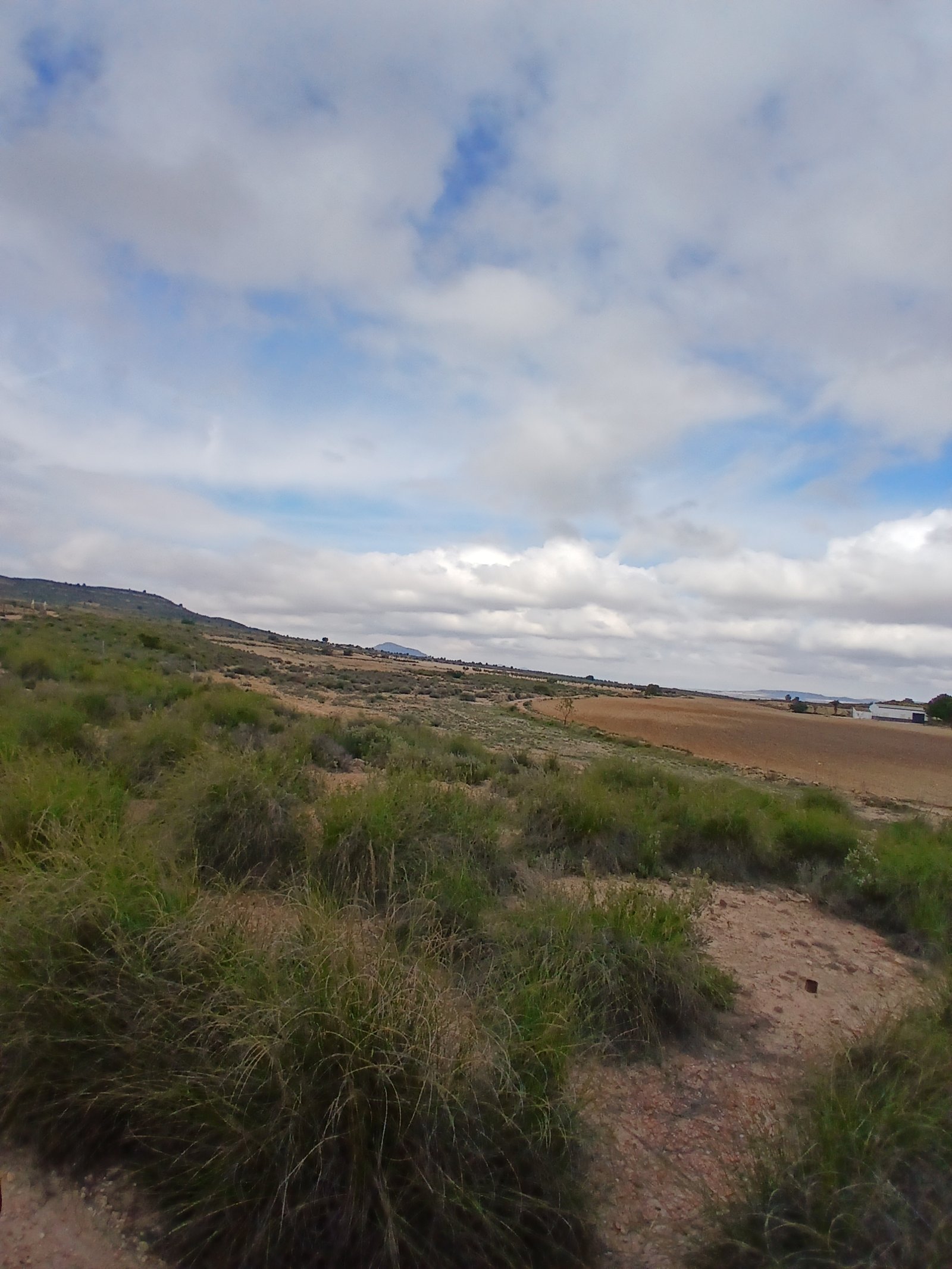 600 m² Land in Yecla - Caza De Casa