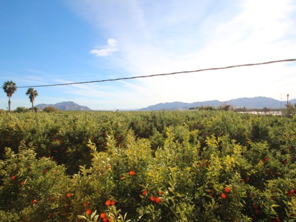 6 Bedroom 3 Bathroom Finca in Murcia - Caza De Casa
