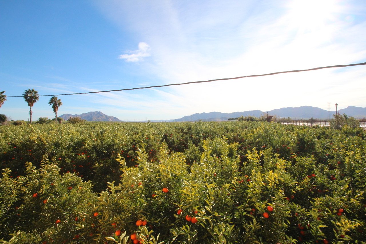 6 Bedroom 3 Bathroom Finca in Murcia - Caza De Casa