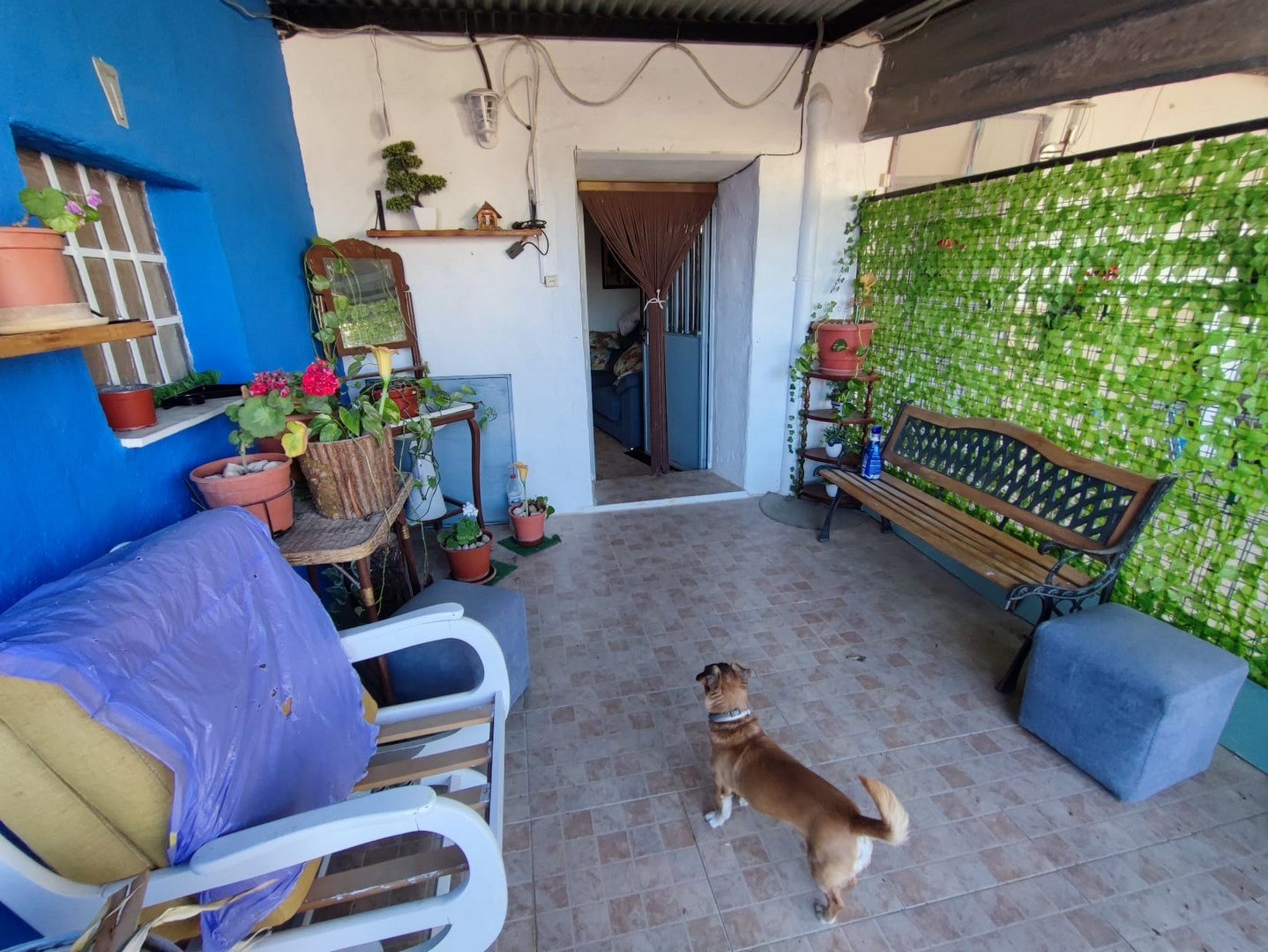 3445672197467194 3 Bedroom 1 Bathroom Country House in Yecla - Caza De Casa