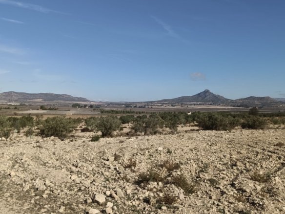 10,200 m² Land in Salinas - Caza De Casa