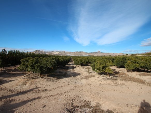 6 Bedroom 3 Bathroom Finca in Murcia - Caza De Casa
