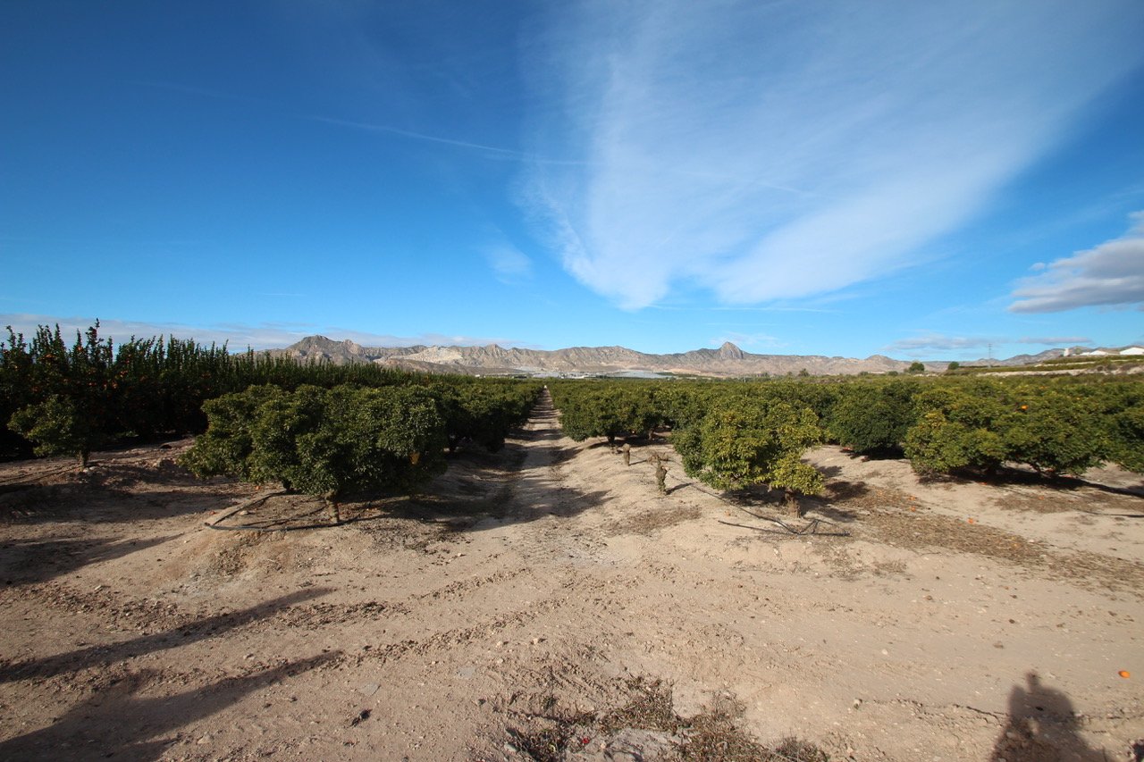 6 Bedroom 3 Bathroom Finca in Murcia - Caza De Casa