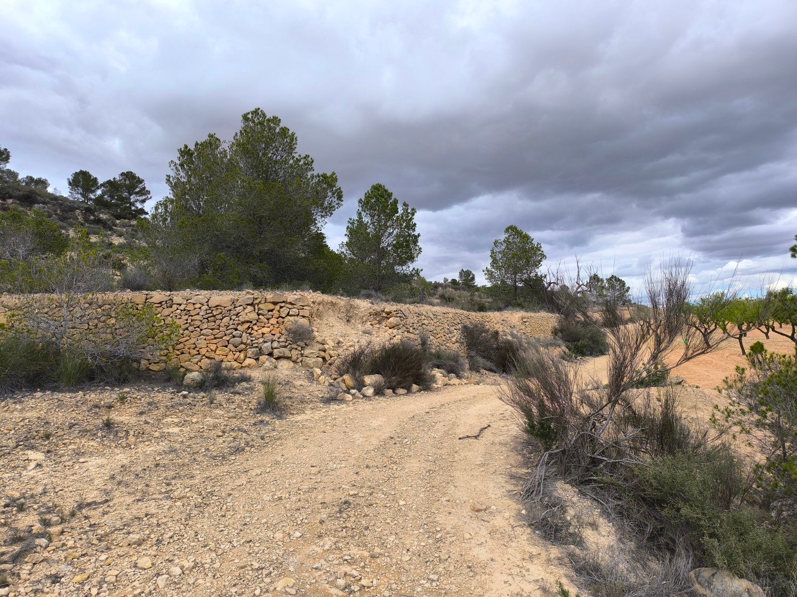 Land in Pinoso - Caza De Casa