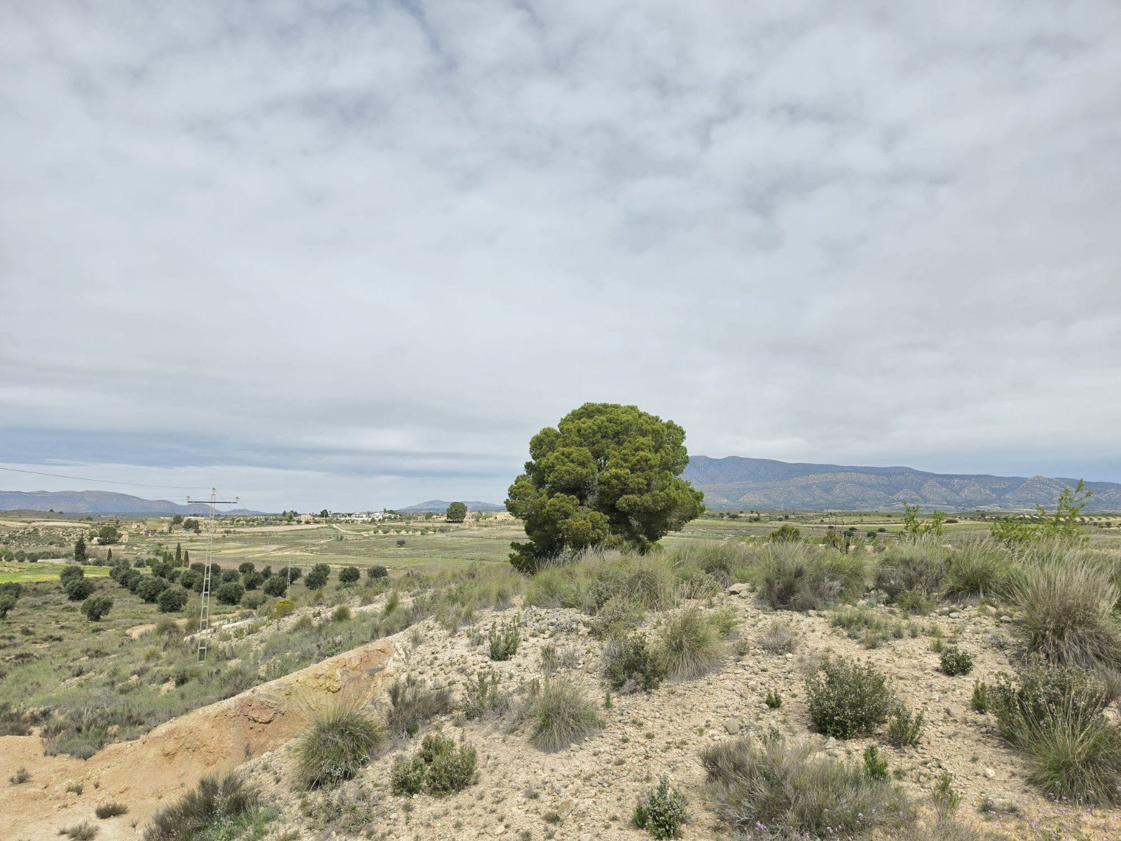 Land in Jumilla - Caza De Casa