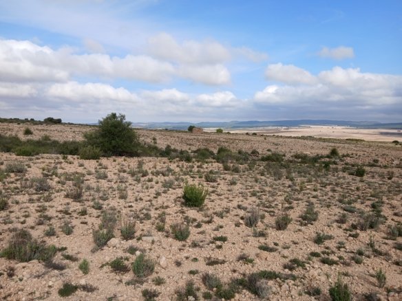 600 m² Land in Yecla - Caza De Casa