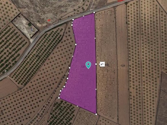 Land in Pinoso - Caza De Casa