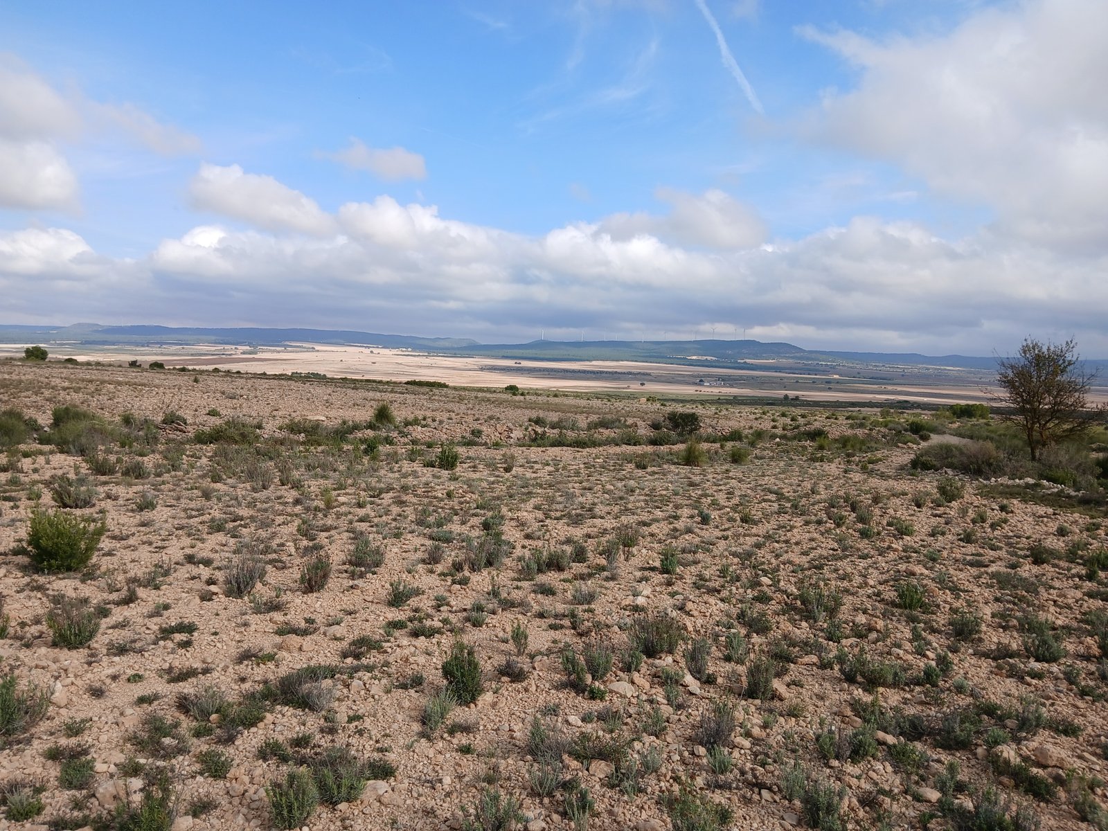 600 m² Land in Yecla - Caza De Casa