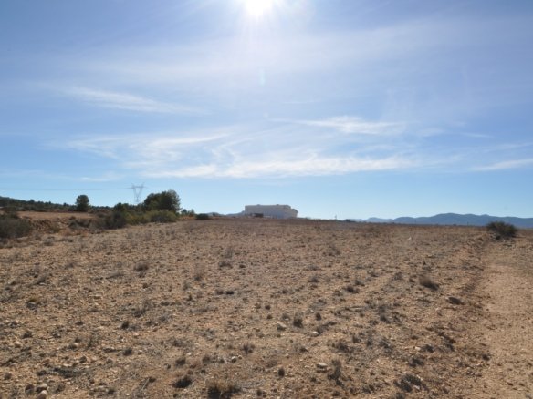 12,542 m² Land in Monóvar/Monóver - Caza De Casa