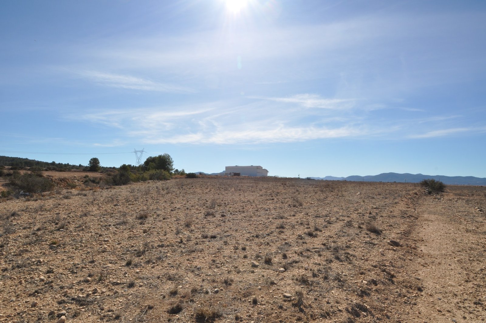 12,542 m² Land in Monóvar/Monóver - Caza De Casa