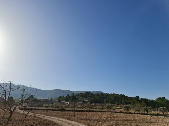 19,338 m² Land in Jumilla - Caza De Casa