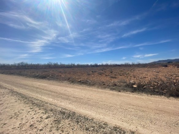 Land in Pinoso - Caza De Casa