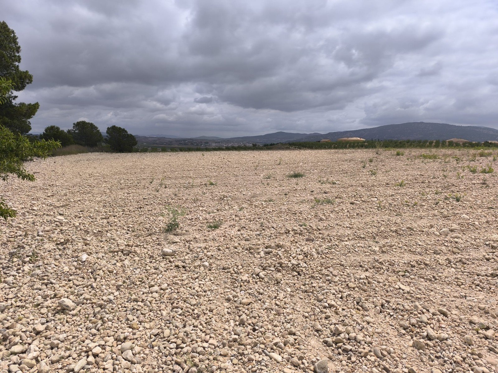 29,575 m² Land in Pinoso - Caza De Casa