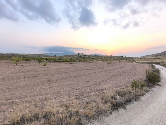 10,354 m² Land in Pinoso - Caza De Casa