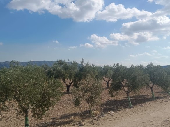 24,596 m² Land in Salinas - Caza De Casa