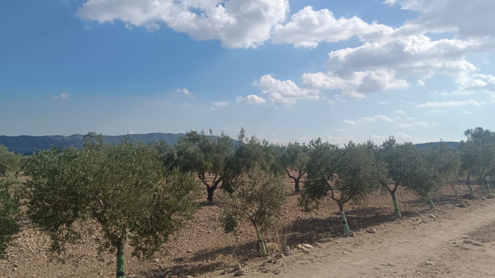 24,596 m² Land in Salinas - Caza De Casa