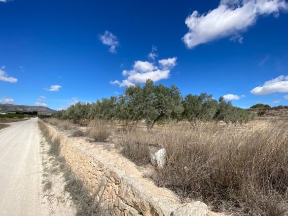 20,357 m² Land in Pinoso - Caza De Casa