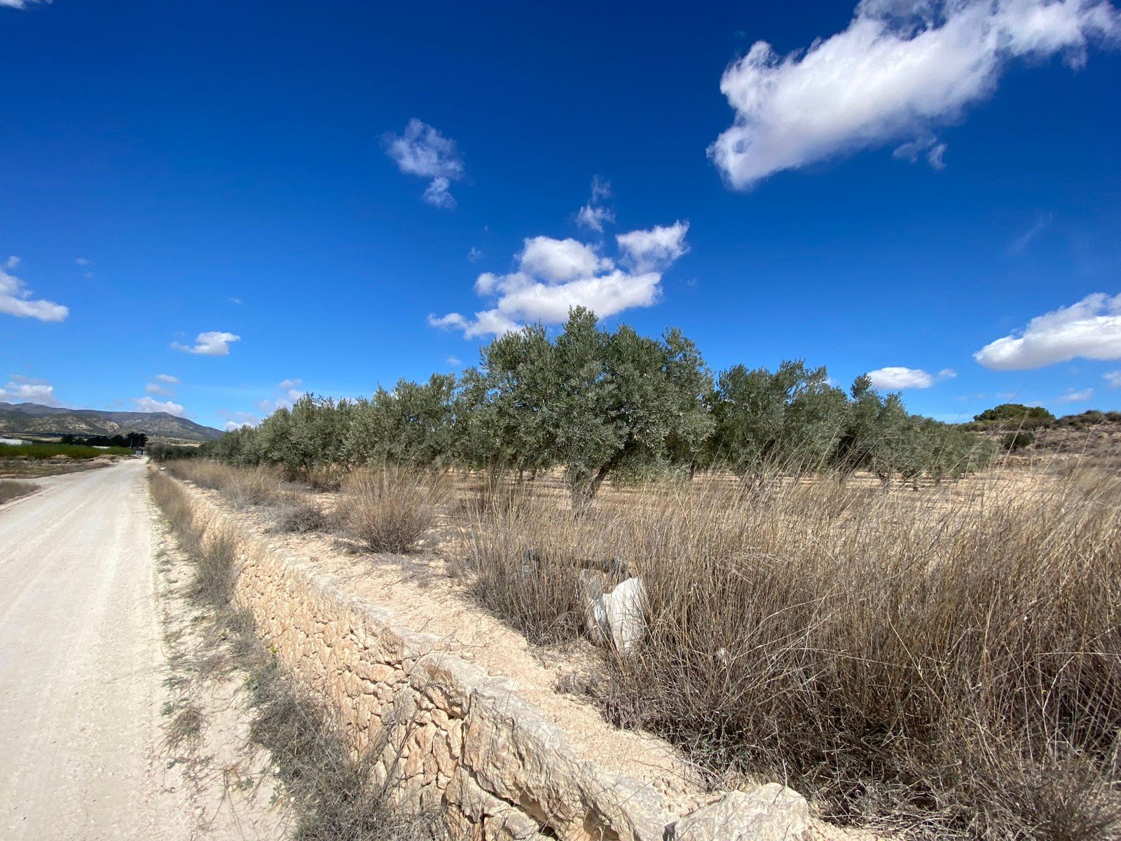 20,357 m² Land in Pinoso - Caza De Casa