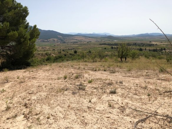 31,486 m² Land in Yecla - Caza De Casa