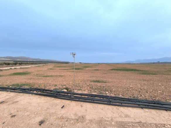 121,000 m² Land in Yecla - Caza De Casa