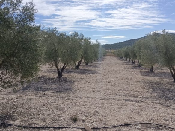 Land in Salinas - Caza De Casa