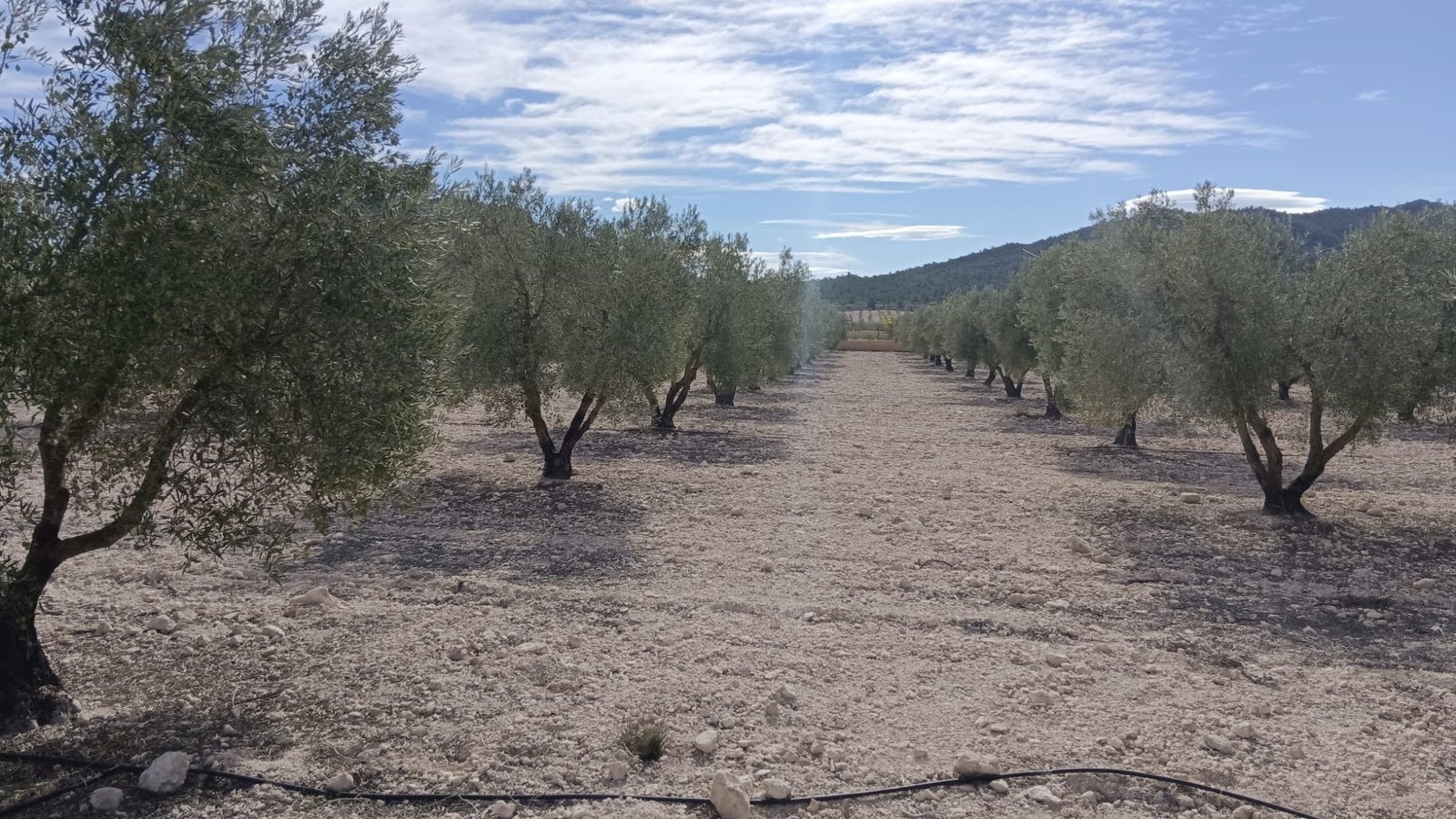 Land in Salinas - Caza De Casa