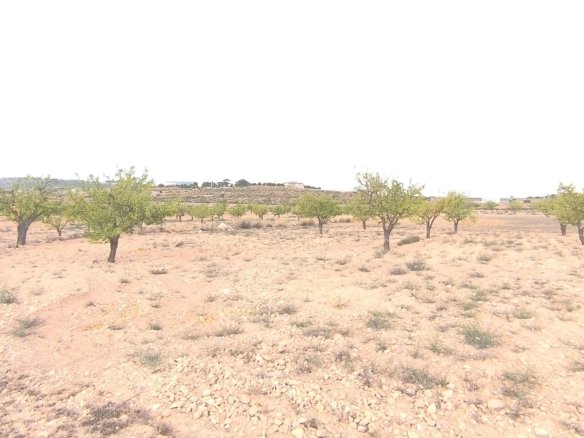 46,696 m² Land in Pinoso - Caza De Casa