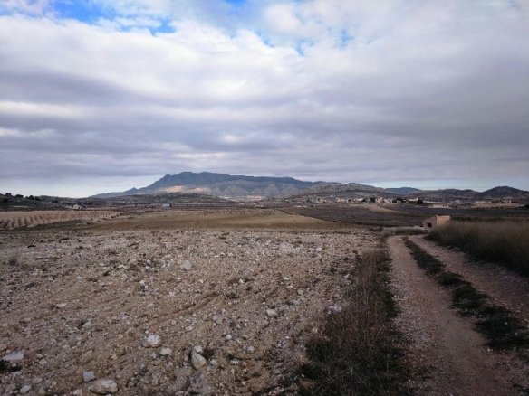 160,000 m² Land in Torre Del Rico - Caza De Casa