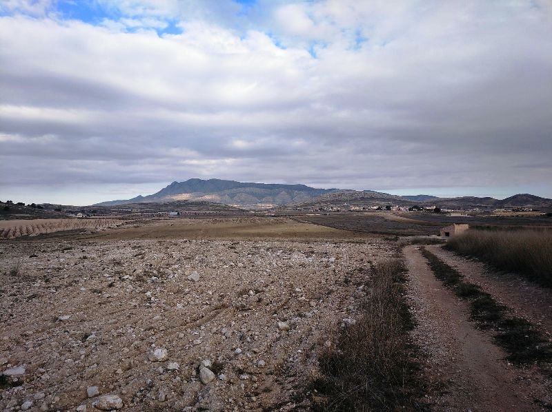 160,000 m² Land in Torre Del Rico - Caza De Casa