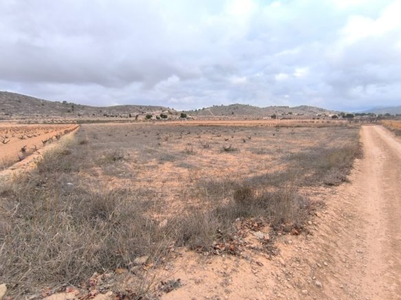 12,522 m² Land in La Solana - Caza De Casa