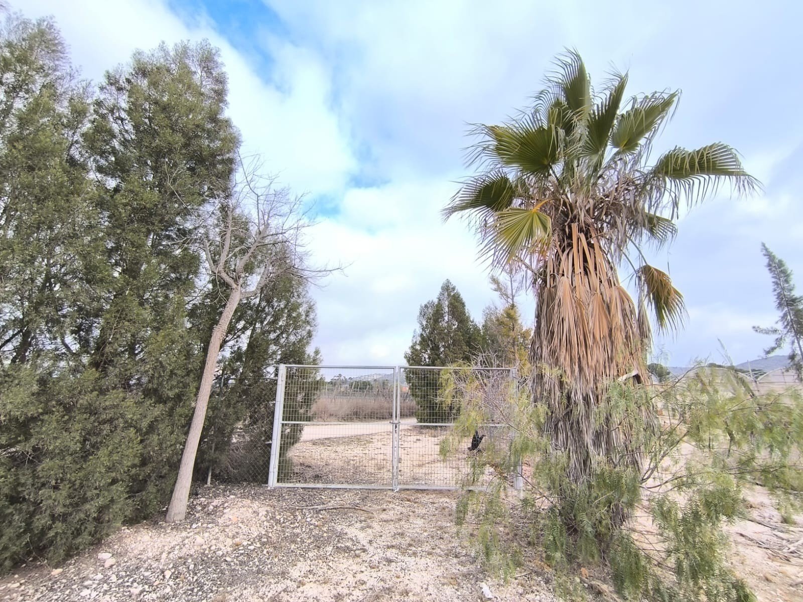 1 Bath Commercial in Aspe - Caza De Casa