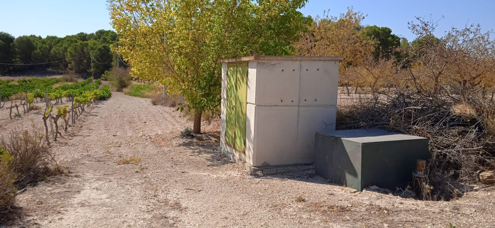 Land in Pinoso - Caza De Casa