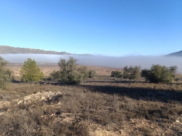 9,197 m² Land in Yecla - Caza De Casa