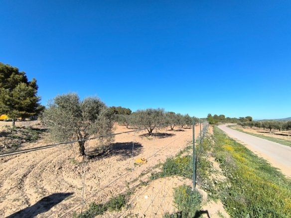 3 Bedroom 1 Bathroom Country House in Yecla - Caza De Casa